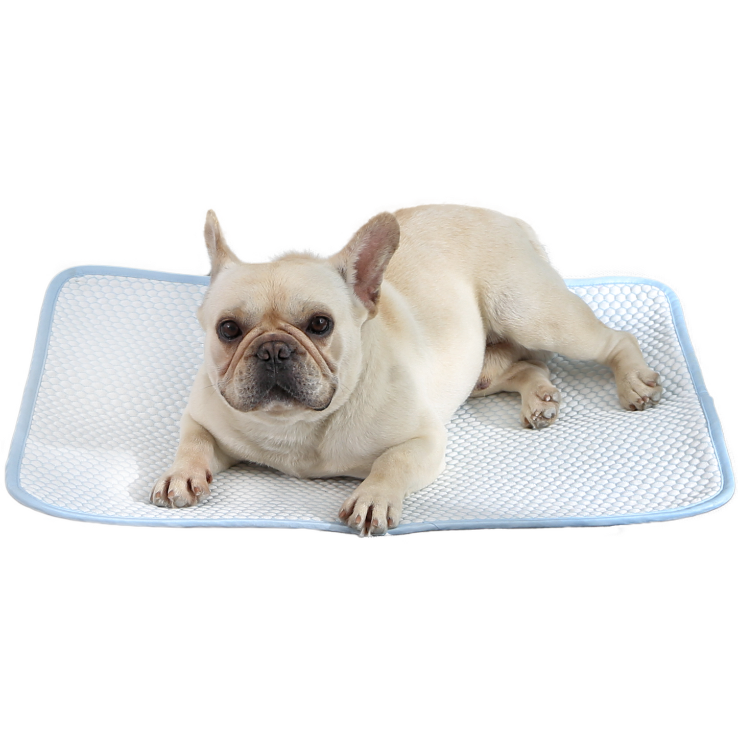 Pet Cooling Mat, Medium 26''*20''